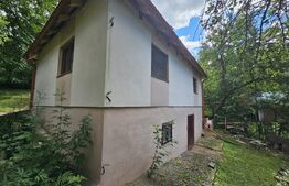 Casă de vânzare, 100 mp, teren 10.000 mp, zona Almașu Mare 