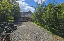 Casă de vânzare, 100 mp, teren 10.000 mp, zona Almașu Mare 
