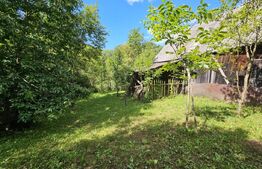Casă de vânzare, 100 mp, teren 10.000 mp, zona Almașu Mare 