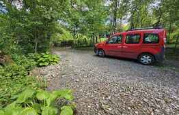 Casă de vânzare, 100 mp, teren 10.000 mp, zona Almașu Mare 