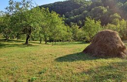 Casă de vânzare, 100 mp, teren 10.000 mp, zona Almașu Mare 