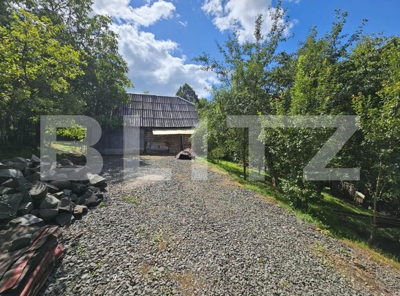 Casa de vânzare 2 camere Almasu Mare - 201540CV | BLITZ Alba Iulia | Poza6