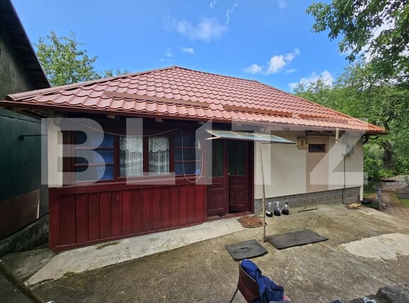 Casa de vânzare 2 camere Almasu Mare - 201540CV | BLITZ Alba Iulia | Poza2