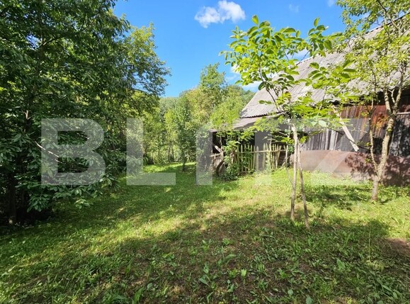 Casa de vânzare 2 camere Almasu Mare - 201540CV | BLITZ Alba Iulia | Poza8