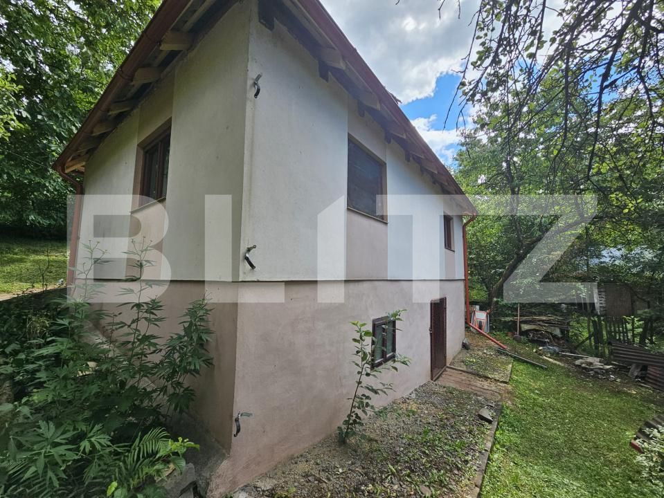 Casa de vânzare 2 camere Almasu Mare - 201540CV | BLITZ Alba Iulia | Poza11