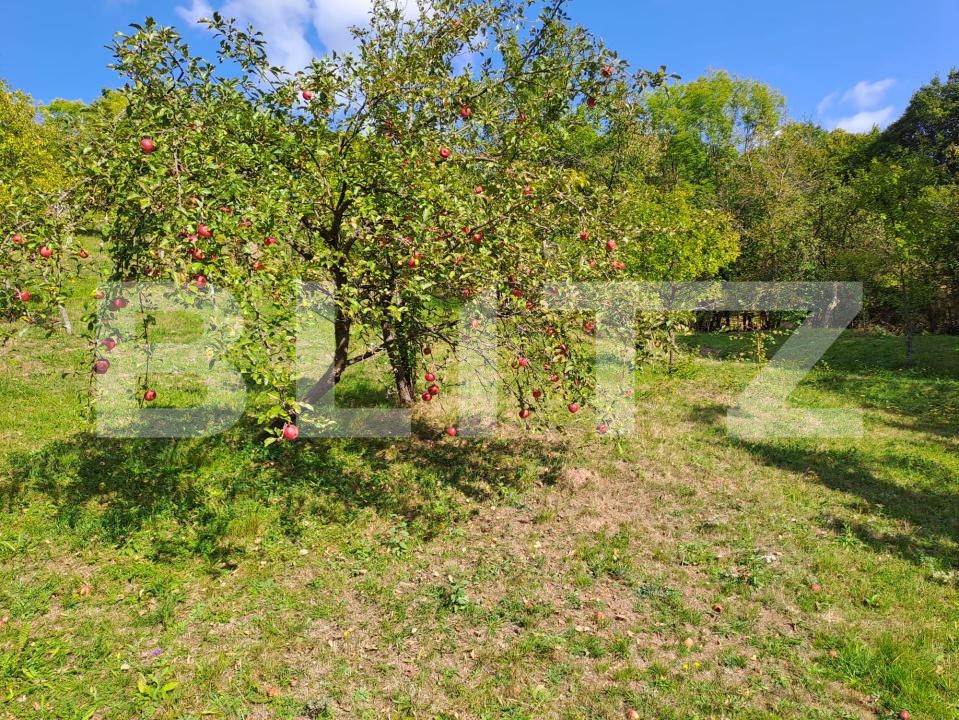 Casa de vânzare 2 camere Almasu Mare - 201540CV | BLITZ Alba Iulia | Poza14