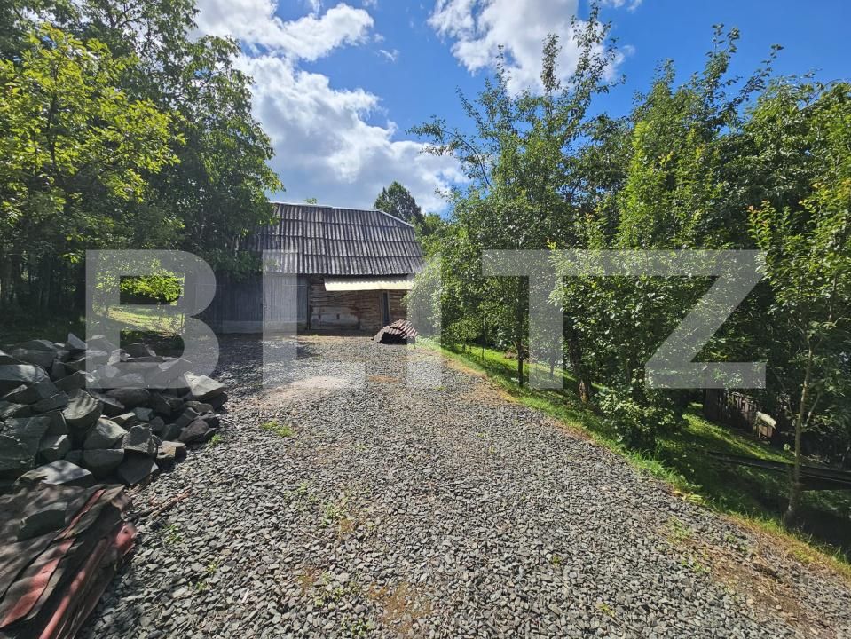 Casa de vânzare 2 camere Almasu Mare - 201540CV | BLITZ Alba Iulia | Poza6