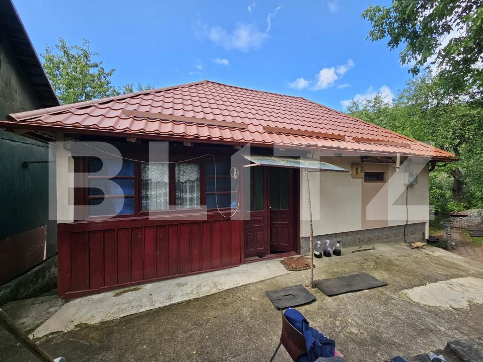Casa de vânzare 2 camere Almasu Mare - 201540CV | BLITZ Alba Iulia | Poza2