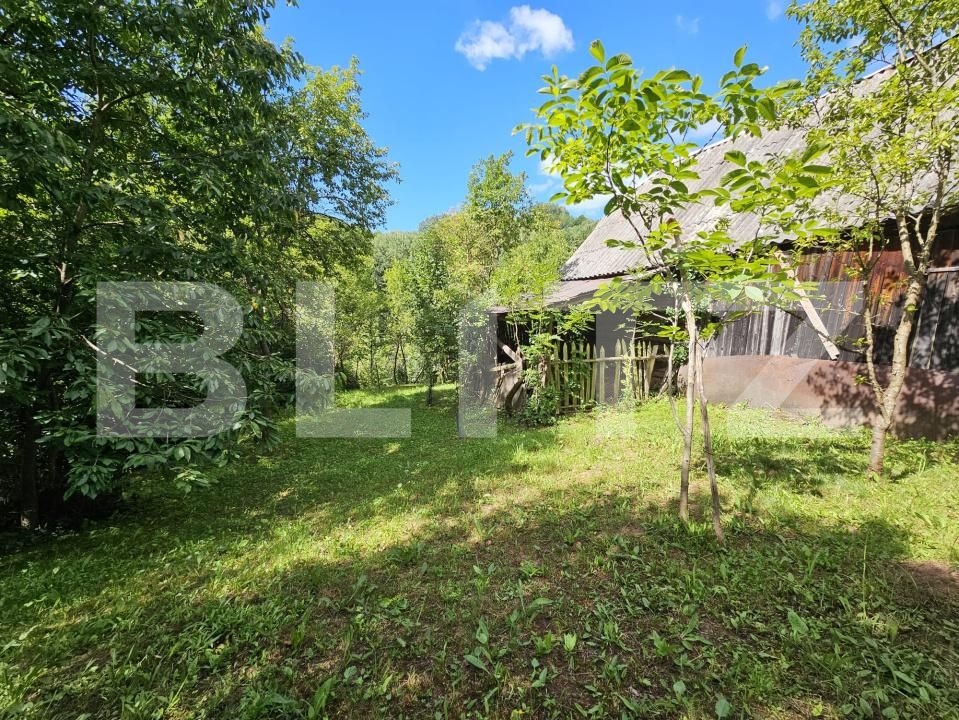 Casa de vânzare 2 camere Almasu Mare - 201540CV | BLITZ Alba Iulia | Poza8