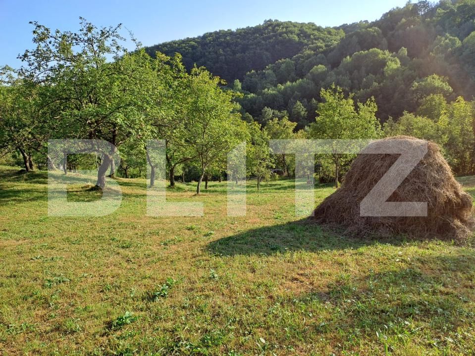Casa de vânzare 2 camere Almasu Mare - 201540CV | BLITZ Alba Iulia | Poza15