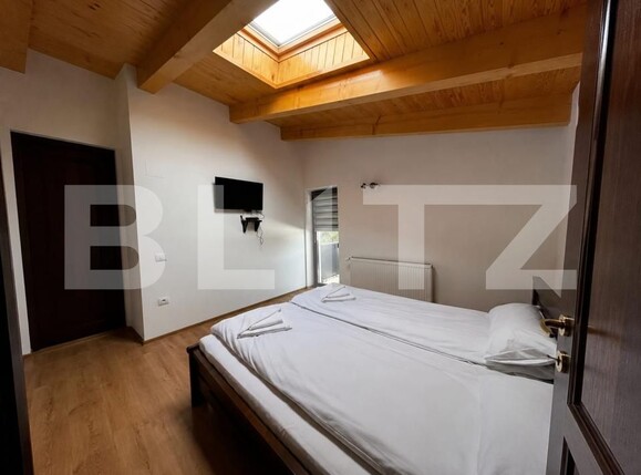 Casa de vânzare 9 camere Tau Bistra - 201575CV | BLITZ Alba Iulia | Poza6