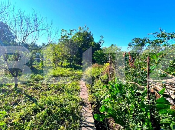 Casa de vânzare 4 camere Blaj - 201607CV | BLITZ Alba Iulia | Poza11