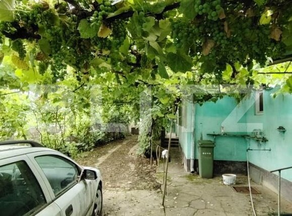 Casa de vânzare 4 camere Ocna Mures - 201653CV | BLITZ Alba Iulia | Poza6