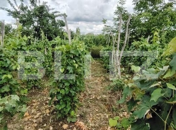 Casa de vânzare 4 camere Unirea - 201653CV | BLITZ Alba Iulia | Poza8