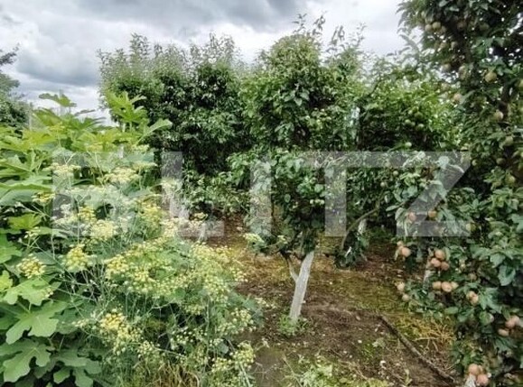 Casa de vânzare 4 camere Ocna Mures - 201653CV | BLITZ Alba Iulia | Poza5