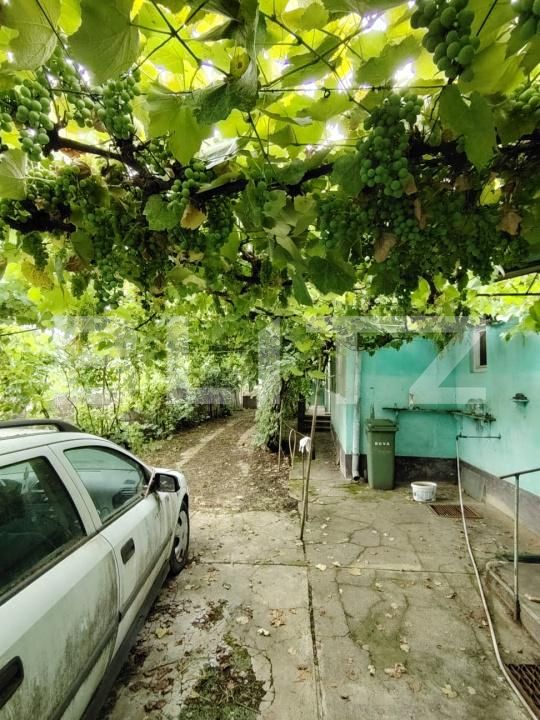 Casa de vânzare 4 camere Ocna Mures - 201653CV | BLITZ Alba Iulia | Poza6