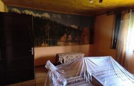 Casa de vanzare, 100 mp, zona Centrala - Ocna Mures