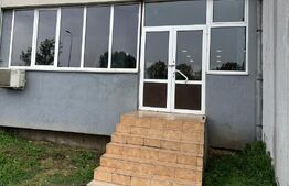 Spațiu comercial cu chiriași, 122 mp utili, zona Cetate