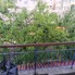 Apartament de vânzare 2 camere Ocna Mures - 201868AV - Poza 1 din 8 | BLITZ Alba Iulia | Poza6