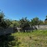 Teren de vânzare Cetate - 201895TV - Poza 1 din 1 | BLITZ Alba Iulia | Poza1
