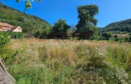 Casă cu anexe, 180 mp, teren intravilan 1.249 mp – Laz, Săsciori