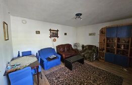 Casă cu anexe, 180 mp, teren intravilan 1.249 mp – Laz, Săsciori