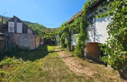 Casă cu anexe, 180 mp, teren intravilan 1.249 mp – Laz, Săsciori
