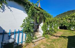 Casă cu anexe, 180 mp, teren intravilan 1.249 mp – Laz, Săsciori