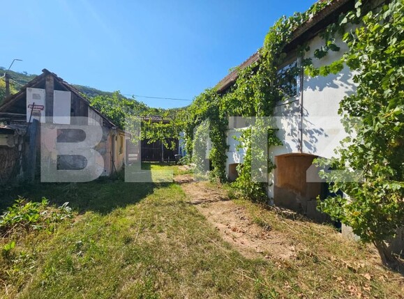Casa de vânzare 5 camere Laz (Sasciori) - 202105CV | BLITZ Alba Iulia | Poza2