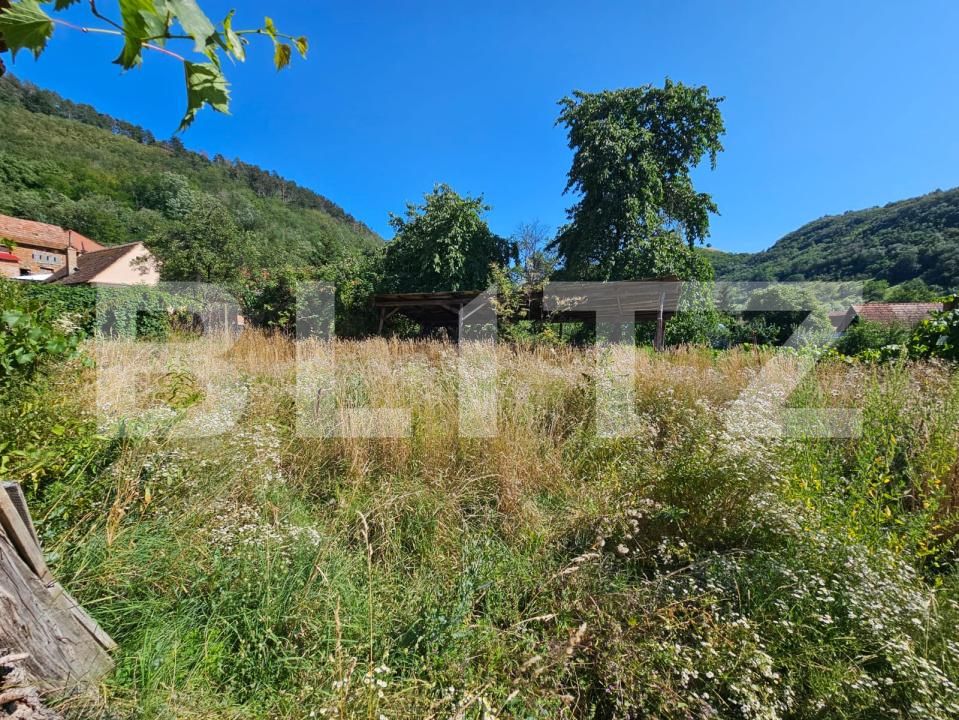 Casa de vânzare 5 camere Laz (Sasciori) - 202105CV | BLITZ Alba Iulia | Poza17