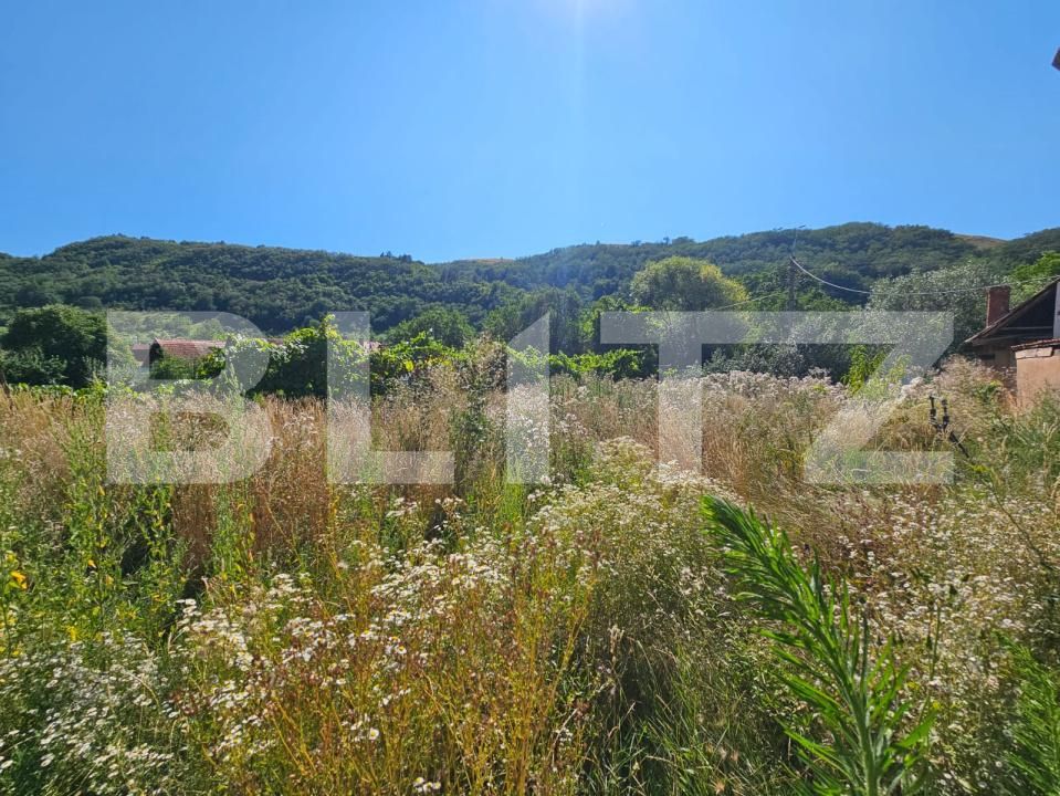 Casa de vânzare 5 camere Laz (Sasciori) - 202105CV | BLITZ Alba Iulia | Poza18