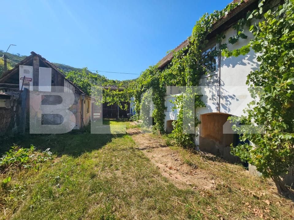 Casa de vânzare 5 camere Laz (Sasciori) - 202105CV | BLITZ Alba Iulia | Poza2