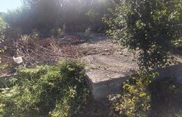 TEREN INTRAVILAN DE VANZARE - LUNCA MURESULUI 700 MP