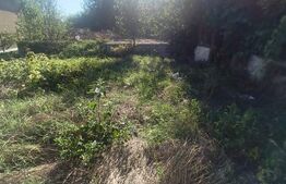 TEREN INTRAVILAN DE VANZARE - LUNCA MURESULUI 700 MP
