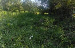 TEREN INTRAVILAN DE VANZARE - LUNCA MURESULUI 700 MP