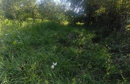 TEREN INTRAVILAN DE VANZARE - LUNCA MURESULUI 700 MP