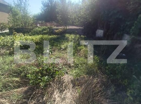 Casa de vânzare 3 camere Lunca Muresului - 202229CV | BLITZ Alba Iulia | Poza3