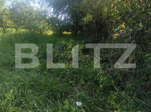 Casa de vânzare 3 camere Lunca Muresului - 202229CV | BLITZ Alba Iulia | Poza6