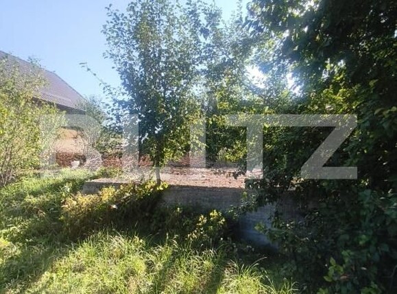 Casa de vânzare 3 camere Lunca Muresului - 202229CV | BLITZ Alba Iulia | Poza1