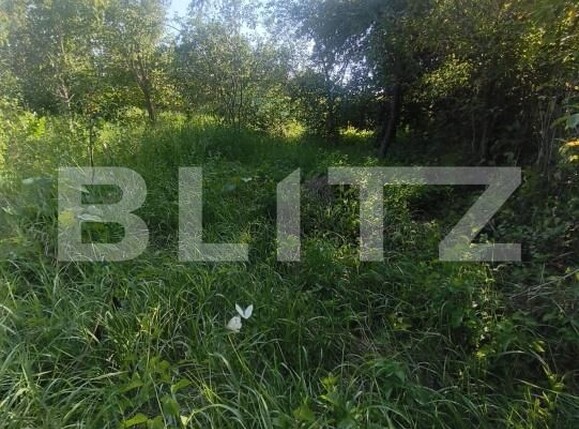 Casa de vânzare 3 camere Lunca Muresului - 202229CV | BLITZ Alba Iulia | Poza5