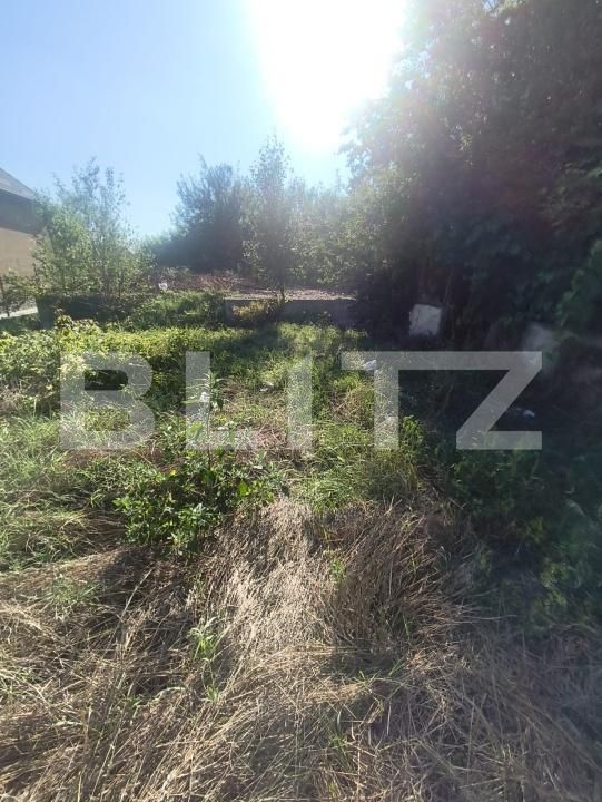 Casa de vânzare 3 camere Lunca Muresului - 202229CV | BLITZ Alba Iulia | Poza3