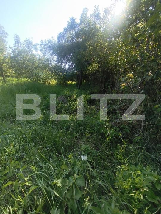 Casa de vânzare 3 camere Lunca Muresului - 202229CV | BLITZ Alba Iulia | Poza6