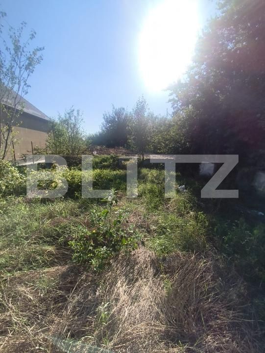 Casa de vânzare 3 camere Lunca Muresului - 202229CV | BLITZ Alba Iulia | Poza4