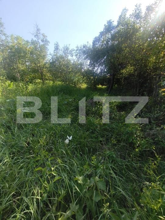 Casa de vânzare 3 camere Lunca Muresului - 202229CV | BLITZ Alba Iulia | Poza5