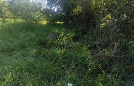 Teren intravilan, 700 mp, zona Lunca Muresului 