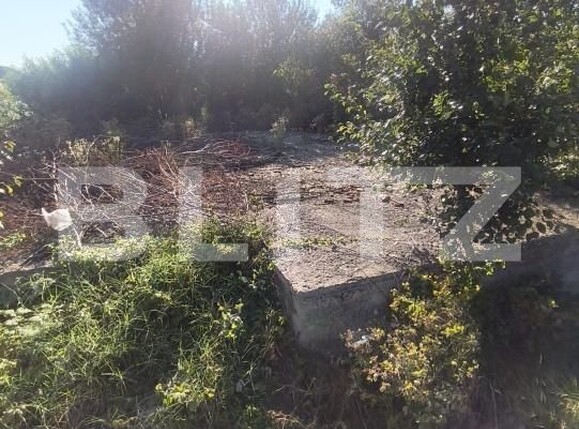 Teren de vânzare Lunca Muresului - 202235TV | BLITZ Alba Iulia | Poza3
