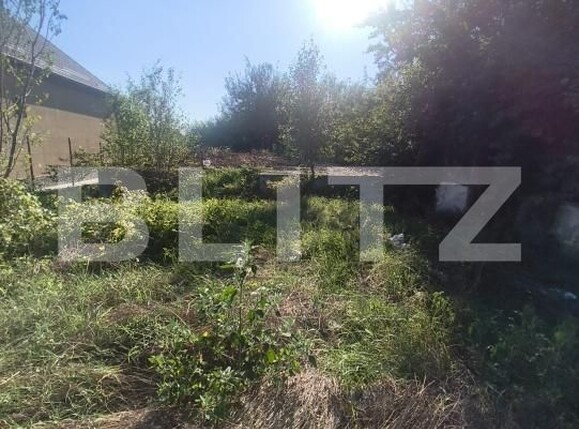 Teren de vânzare Lunca Muresului - 202235TV | BLITZ Alba Iulia | Poza5