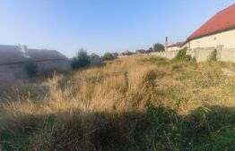 Teren Intravilan, 1.100 mp, zona Uioara de Sus