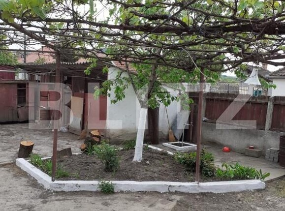 Casa de vânzare 3 camere Ocna Mures - 202382CV | BLITZ Alba Iulia | Poza12