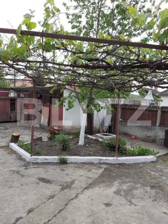 Casa de vânzare 3 camere Ocna Mures - 202382CV | BLITZ Alba Iulia | Poza12
